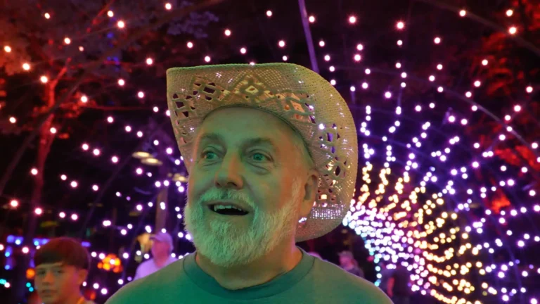 Pas På Bjørnen!